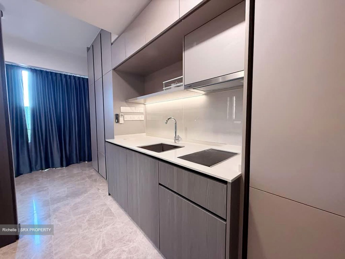 Piccadilly Grand (D8), Apartment #538721281
